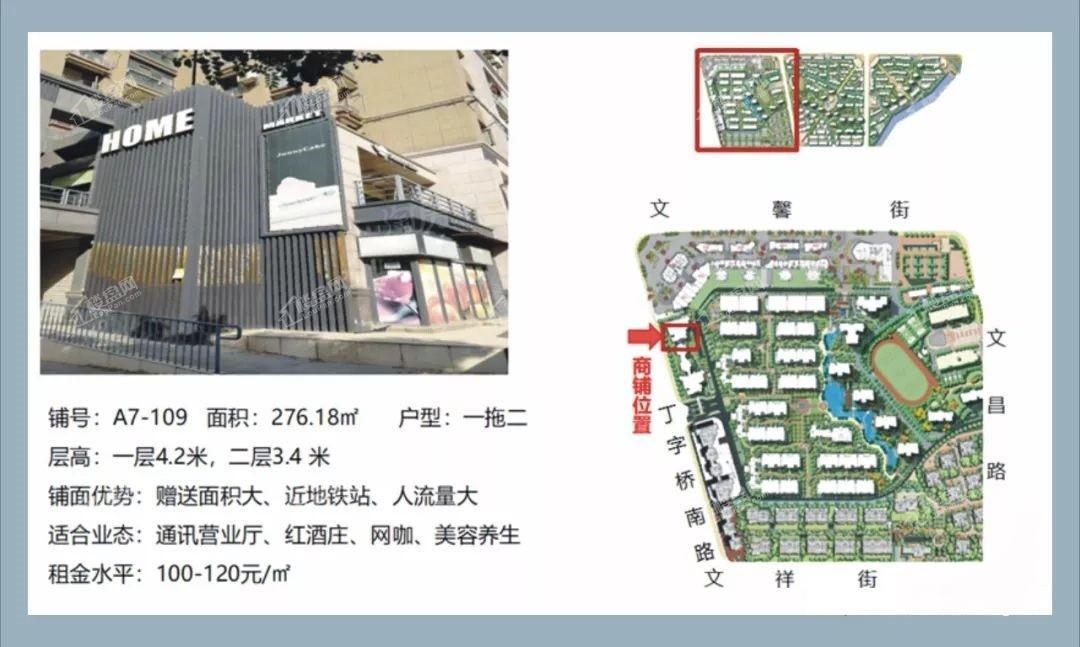 大华南湖公园世家商铺效果图