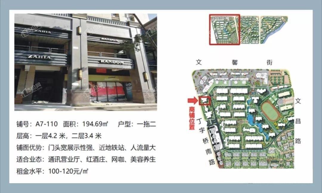 大华南湖公园世家商铺效果图