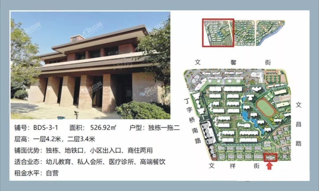 大华南湖公园世家商铺效果图