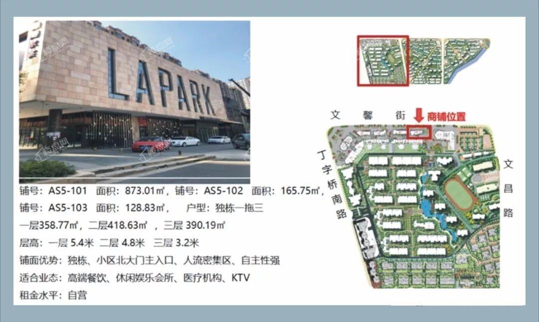 大华南湖公园世家商铺效果图