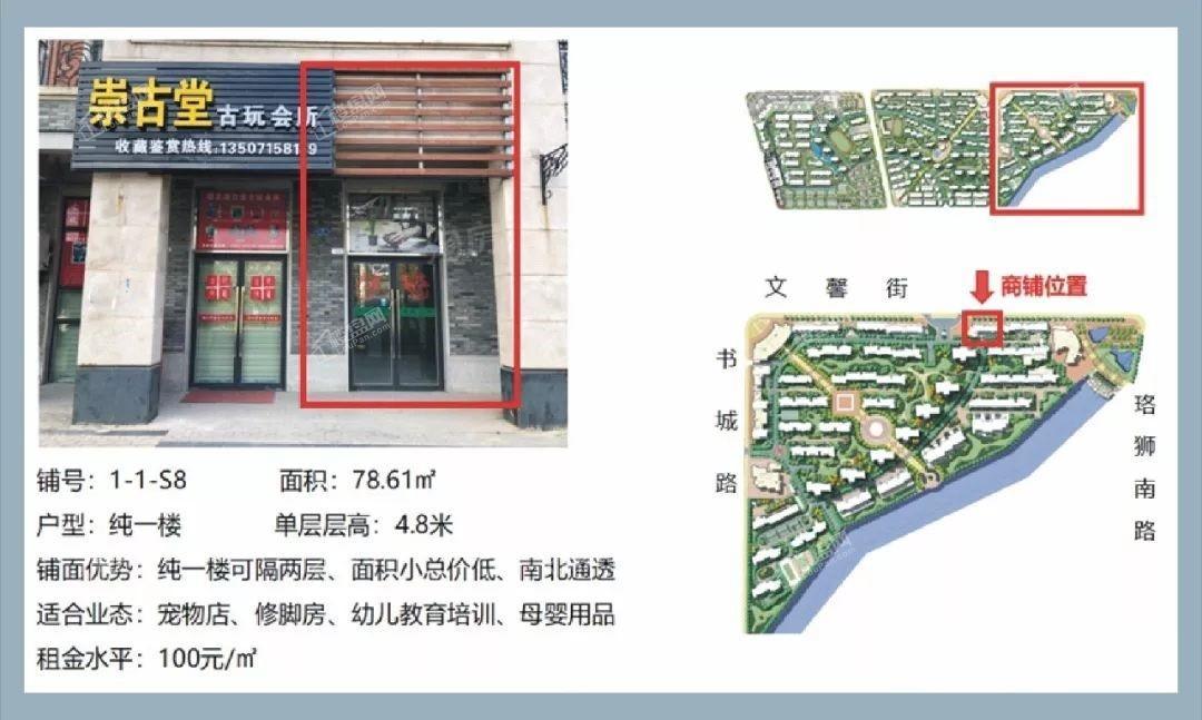 大华南湖公园世家商铺效果图