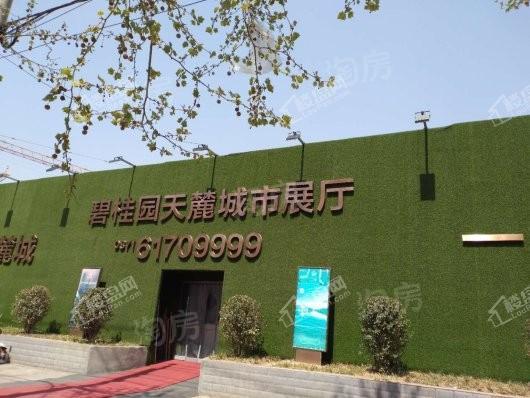 碧桂园天麓实景图
