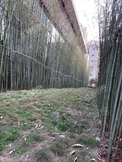 富力尚悦居实景图