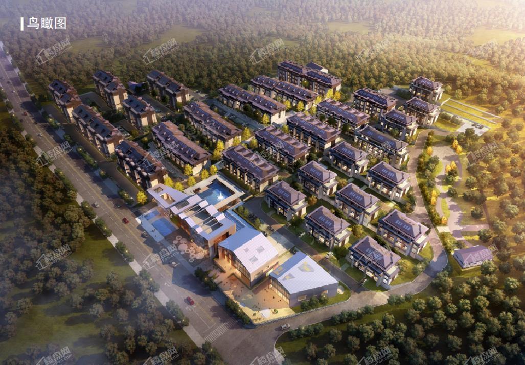 水发和山效果图