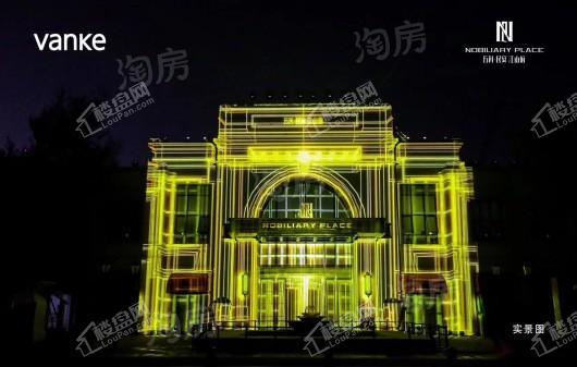 万科·民安江山府实景图