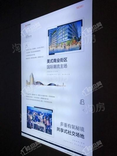 实景图