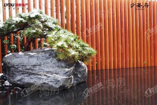 绿都地产少荃府实景图