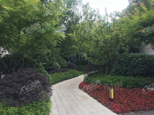 滨湖金茂悦实景图