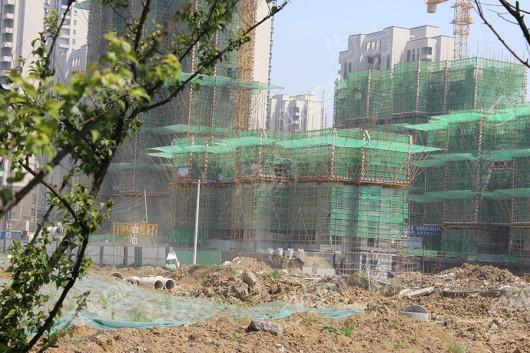 招商·雍华府实景图