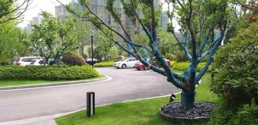 都荟上城实景图