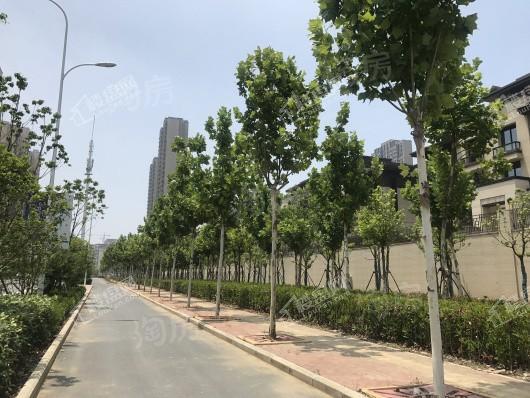 华润桃源里别墅实景图