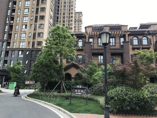 拓基·蘭宫墅实景图