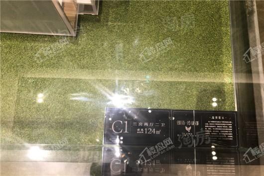 朗诗玲珑郡实景图