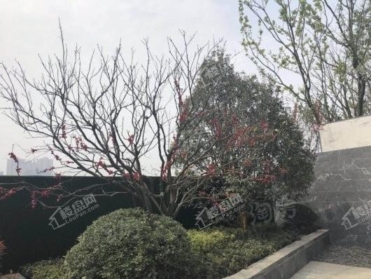 朗诗玲珑郡效果图