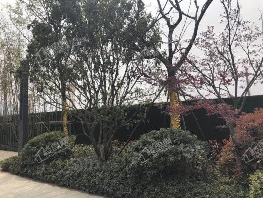 朗诗玲珑郡效果图