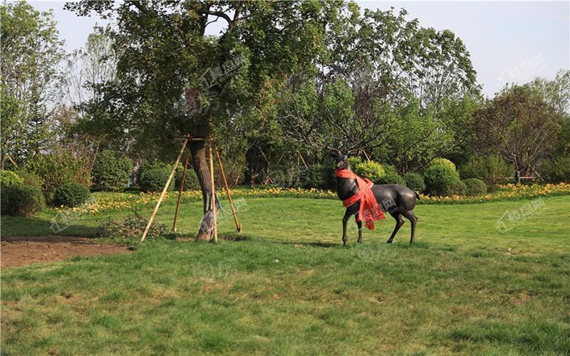 金地悦城大境实景图