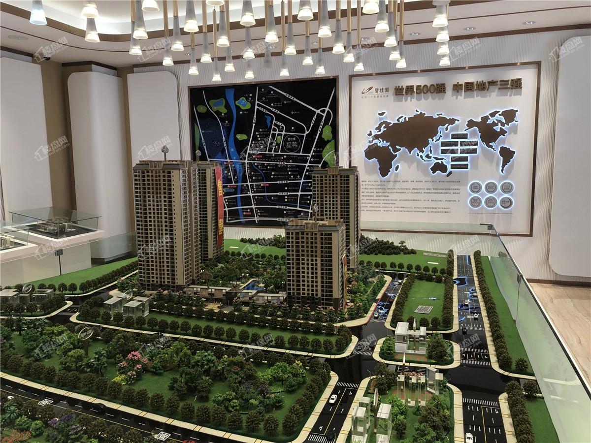 碧桂园·星荟实景图