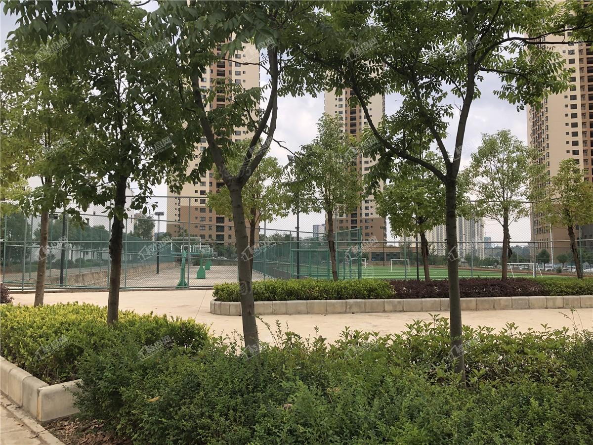 碧桂园·星荟实景图
