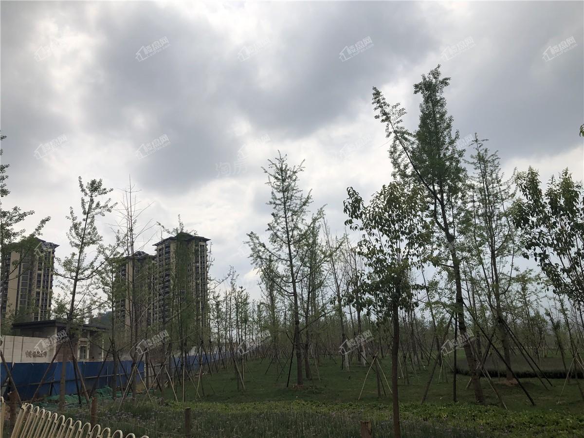 中建·龙熙壹号实景图