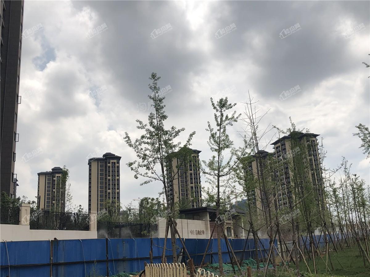 中建·龙熙壹号实景图