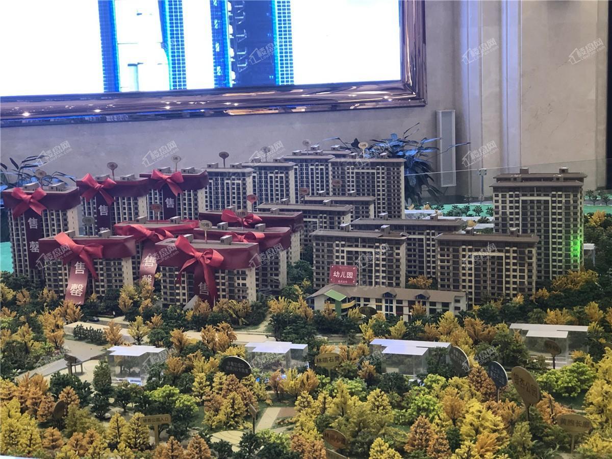 中建·龙熙壹号实景图