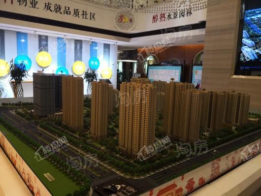 中海·云著实景图