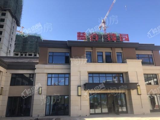 慧谷臻园实景图