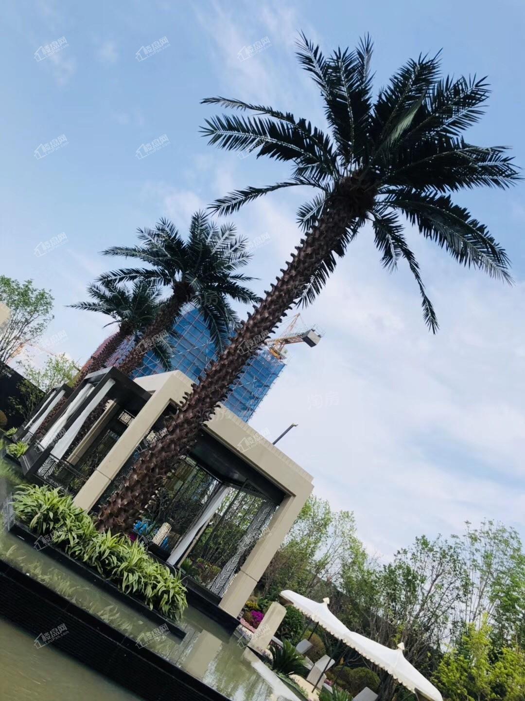 金地名悦实景图