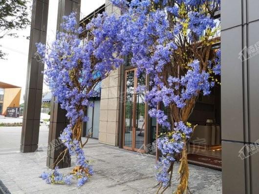 重庆映月台实景图