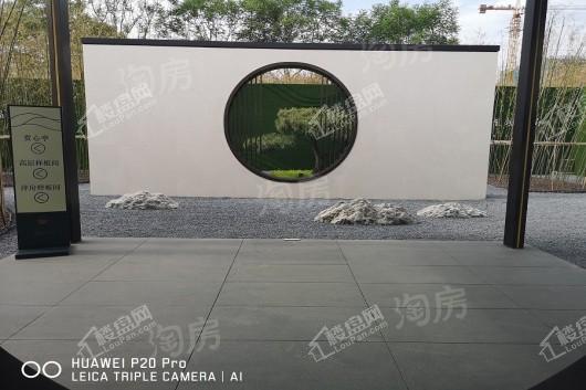 金科·博翠天宸实景图