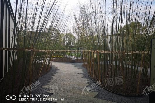 金科·博翠天宸实景图