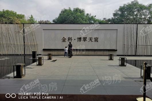 金科·博翠天宸实景图