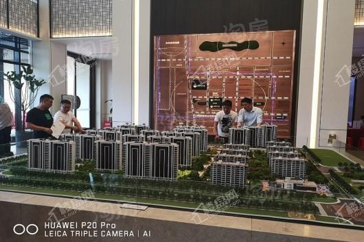 金科·博翠天宸实景图