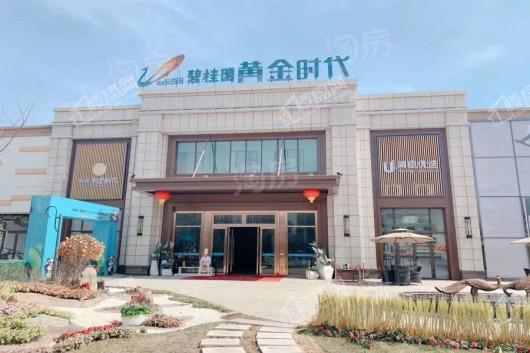 碧桂园黄金时代实景图