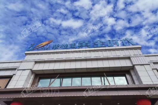 碧桂园黄金时代实景图