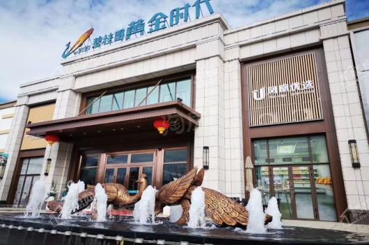碧桂园黄金时代实景图
