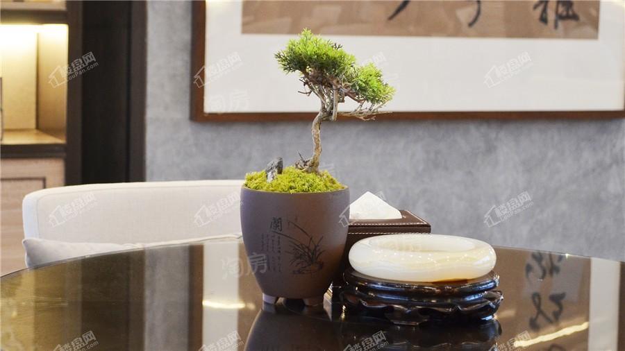 五象澜庭府实景图