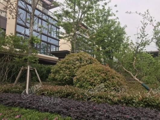 御璟·江山实景图