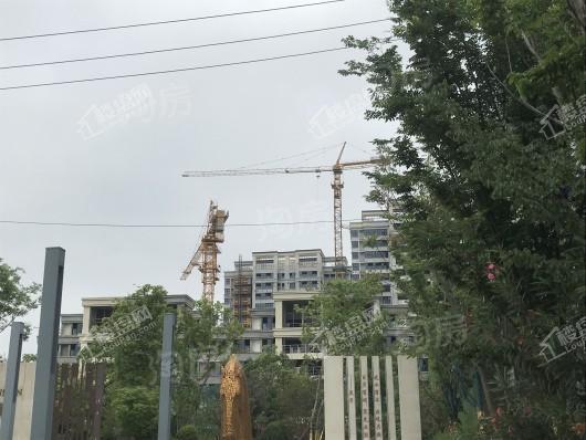 融侨观澜实景图