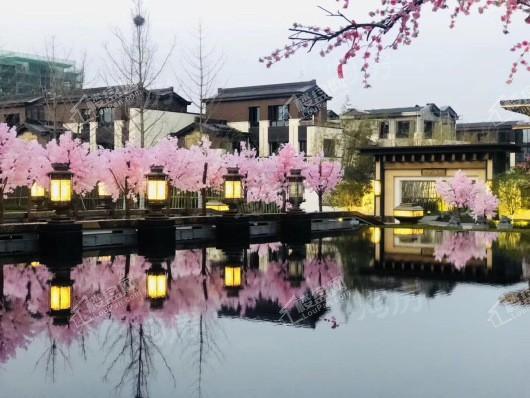 文一泰禾·合肥院子实景图