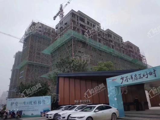 绿都地产少荃府实景图