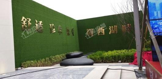 中南·樾府实景图