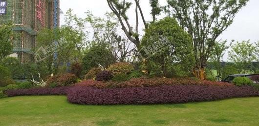 中南·樾府实景图