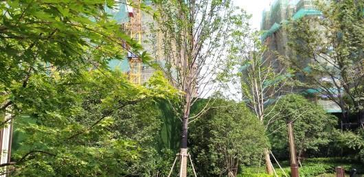 旭辉·公园府实景图