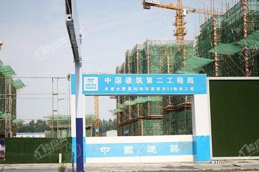 葛洲坝·中国府实景图