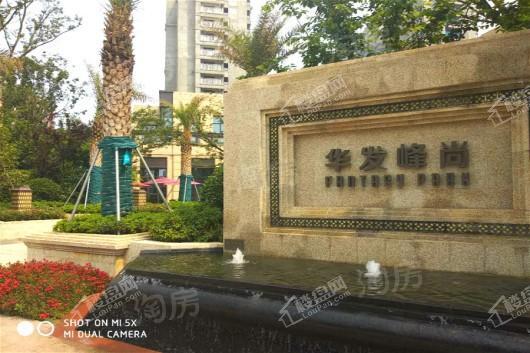 华发峰尚实景图