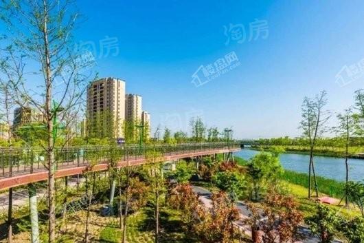 依云湖实景图