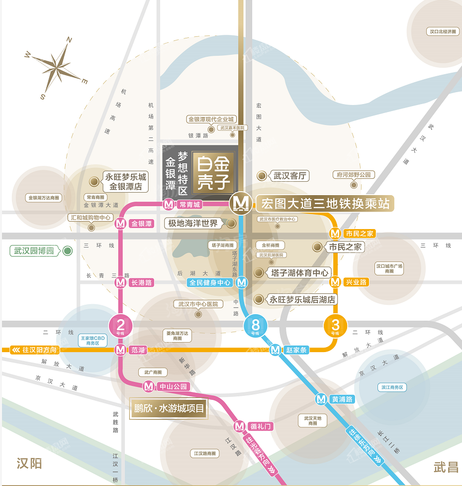 白金壳子效果图