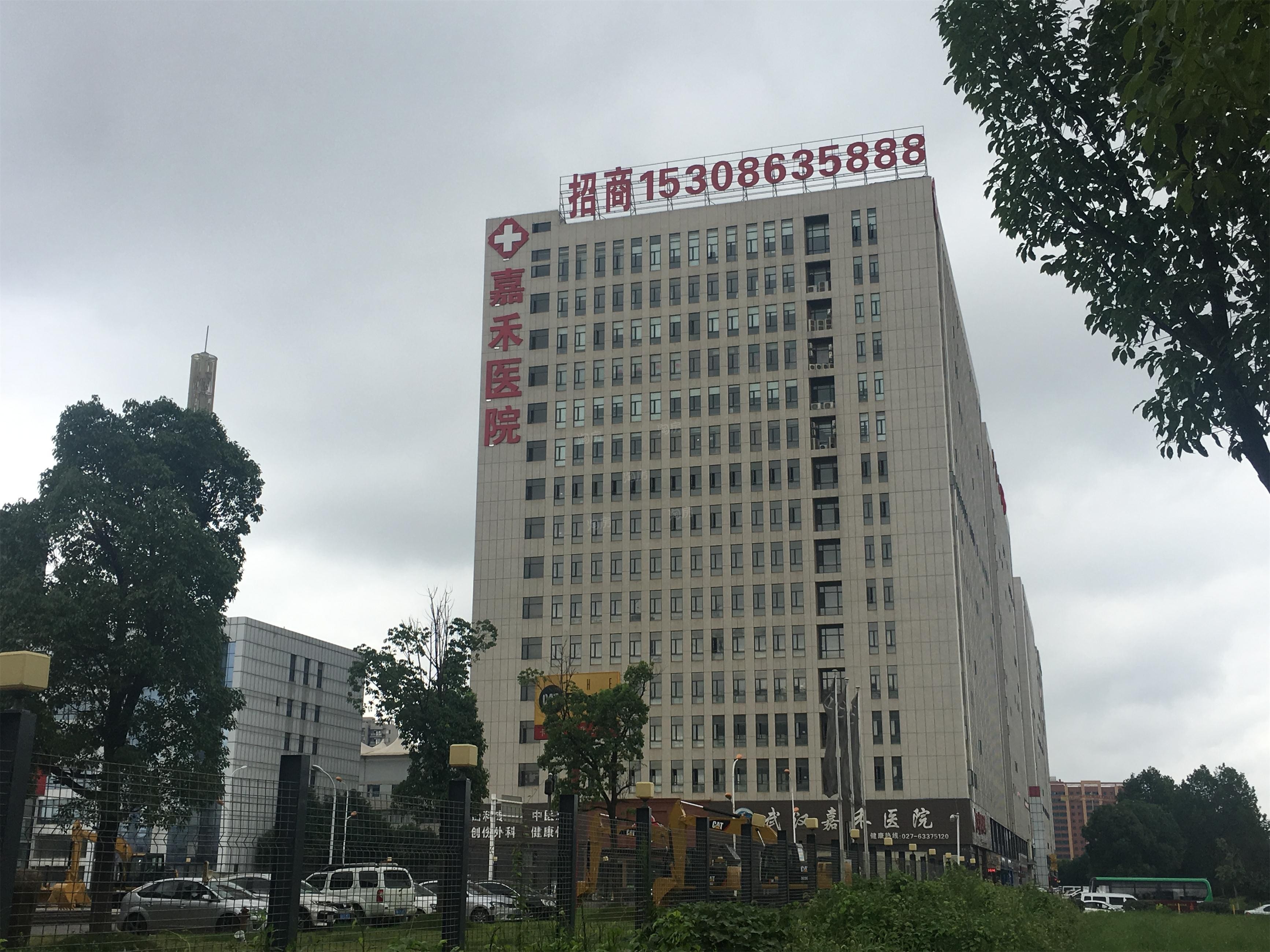 白金壳子效果图