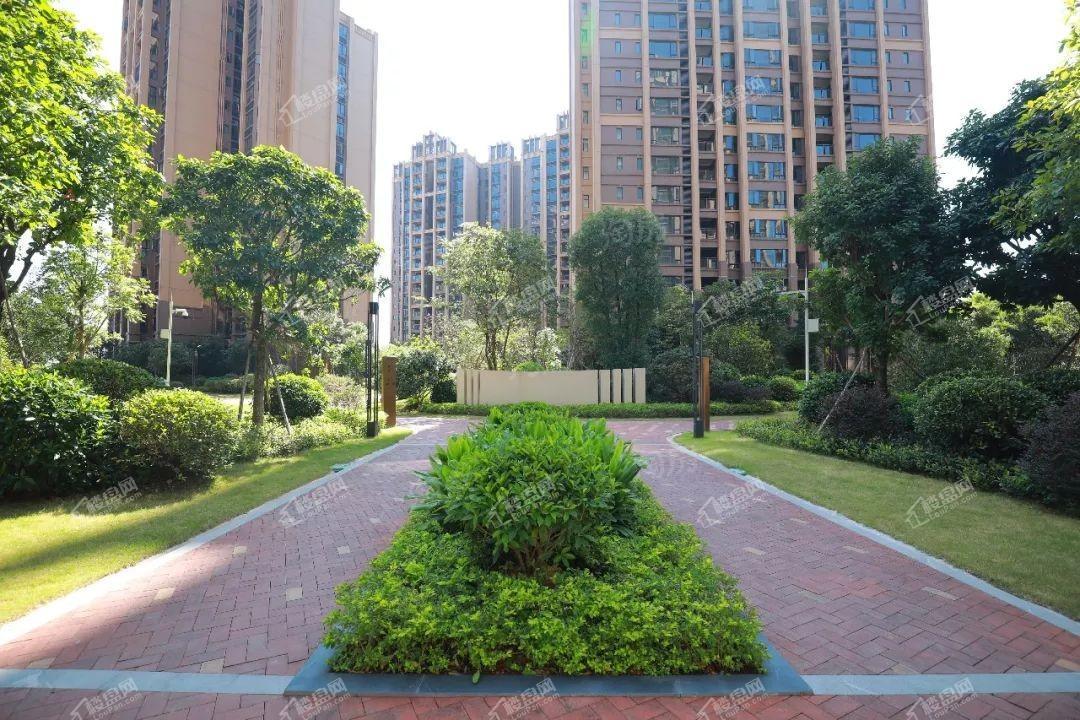 中泰天境实景图